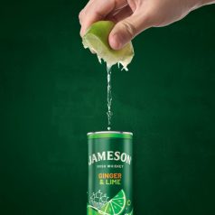Jameson Ginger & Lime (5%) 0,25l