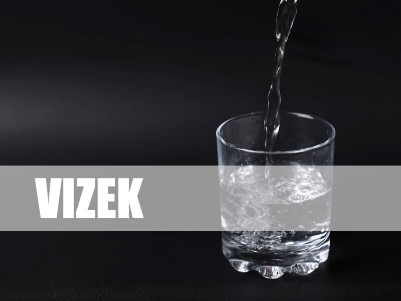 Vizek